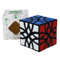 Lanlan Mosaic Cube