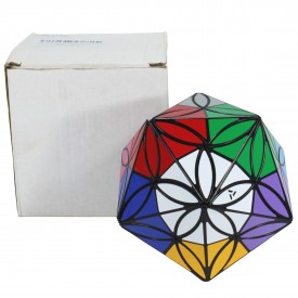 AJ 12 Colors Clover Icosahedron