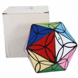 AJ 20 Colors Clover Icosahedron