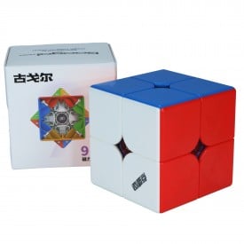 DianSheng Googol Magnetic 2x2